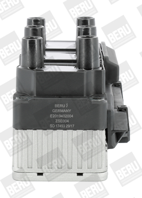 ritė, uždegimas - ZSE004 BorgWarner (BERU)