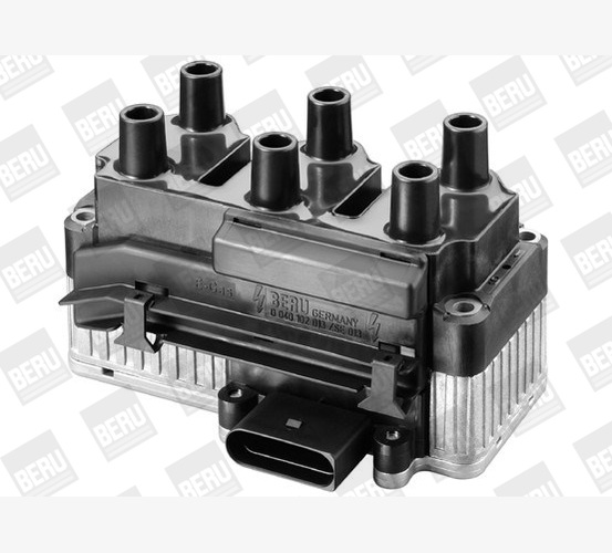 Ignition Coil - ZSE013 BorgWarner (BERU)