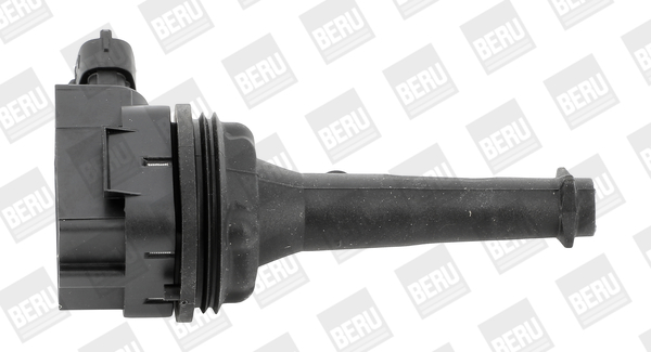 Ignition Coil - ZSE019 BorgWarner (BERU)