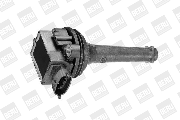 Катушка зажигания - ZSE019 BorgWarner (BERU)