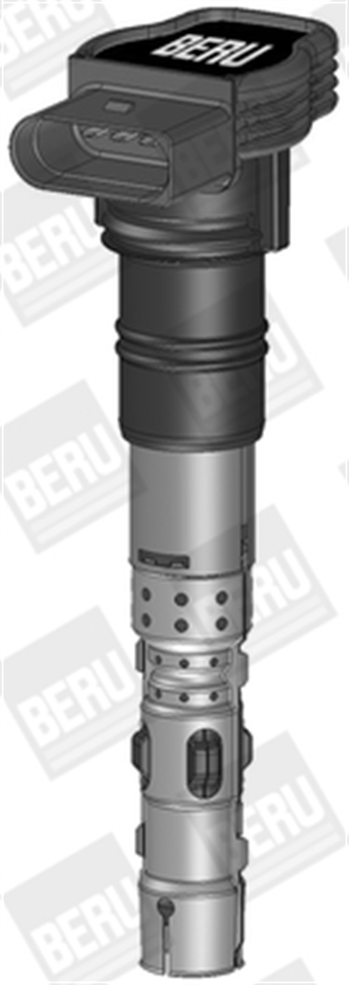 Ignition Coil - ZSE061 BorgWarner (BERU)
