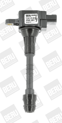 Ignition Coil - ZSE081 BorgWarner (BERU)