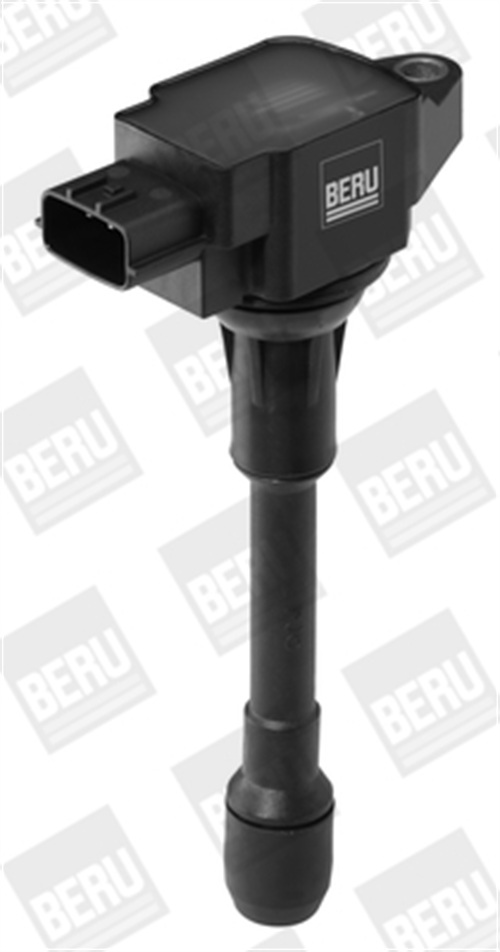 Ignition Coil - ZSE088 BorgWarner (BERU)