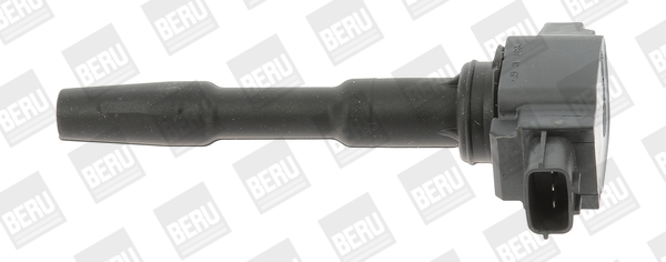 Ignition Coil - ZSE131 BorgWarner (BERU)