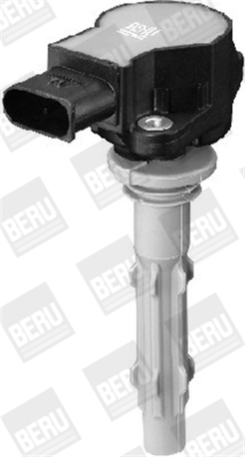 Ignition Coil - ZSE140 BorgWarner (BERU)
