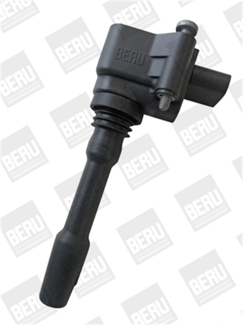 ritė, uždegimas - ZSE163 BorgWarner (BERU)