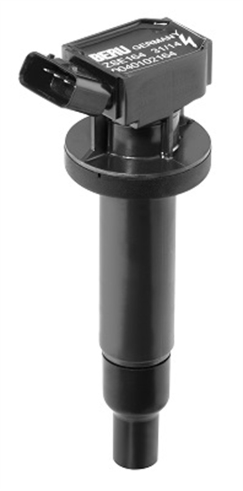 Zündspule - ZSE164 BorgWarner (BERU)