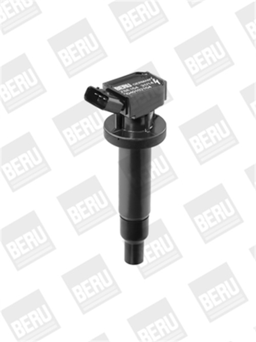 Zündspule - ZSE164 BorgWarner (BERU)