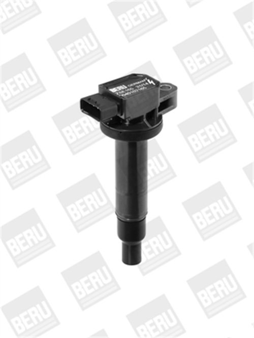 Ignition Coil - ZSE165 BorgWarner (BERU)