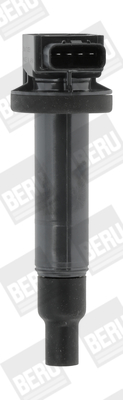 Ignition Coil - ZSE165 BorgWarner (BERU)