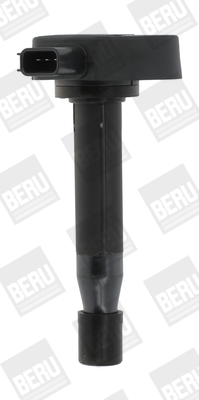 Bobina d'accensione - ZSE166 BorgWarner (BERU)