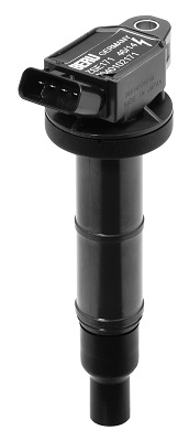 Катушка зажигания - ZSE171 BorgWarner (BERU)