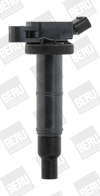 Bobina d'accensione - ZSE171 BorgWarner (BERU)