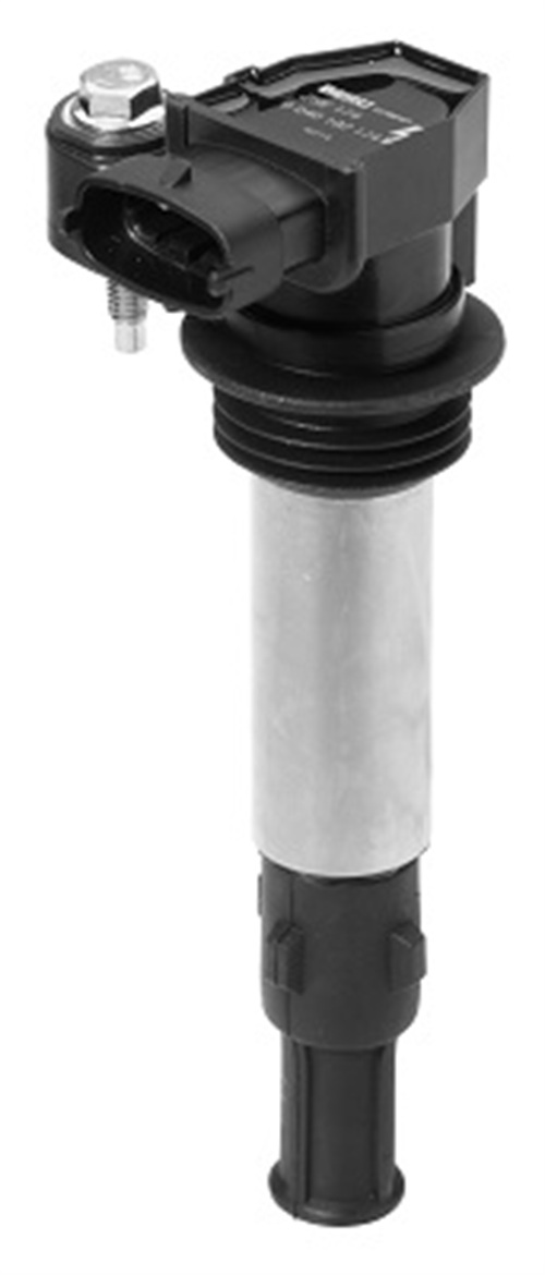 Zündspule - ZSE174 BorgWarner (BERU)