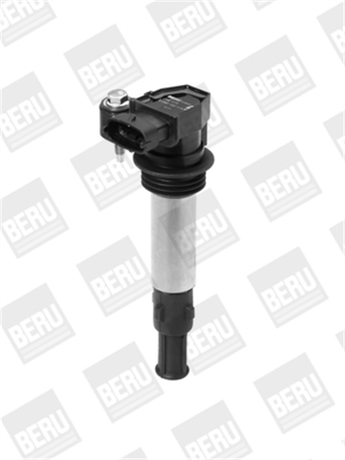 Zündspule - ZSE174 BorgWarner (BERU)