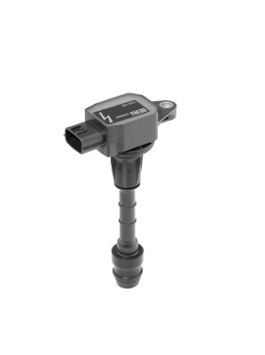 Катушка зажигания - ZSE188 BorgWarner (BERU)