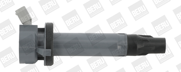 Ignition Coil - ZSE194 BorgWarner (BERU)