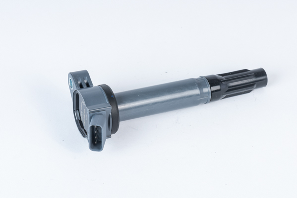 Ignition Coil - ZSE202 BorgWarner (BERU)