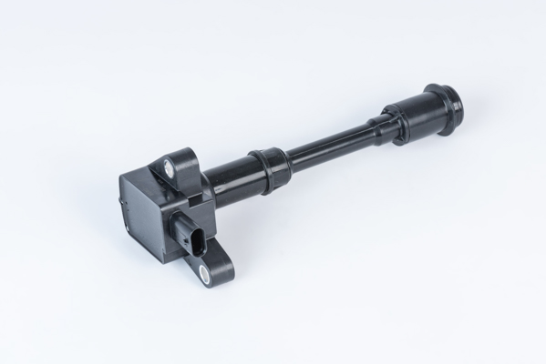Ignition Coil - ZSE203 BorgWarner (BERU)