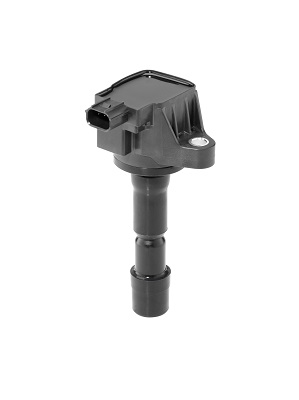ritė, uždegimas - ZSE210 BorgWarner (BERU)