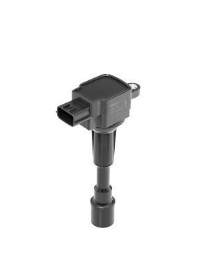 Ignition Coil - ZSE216 BorgWarner (BERU)