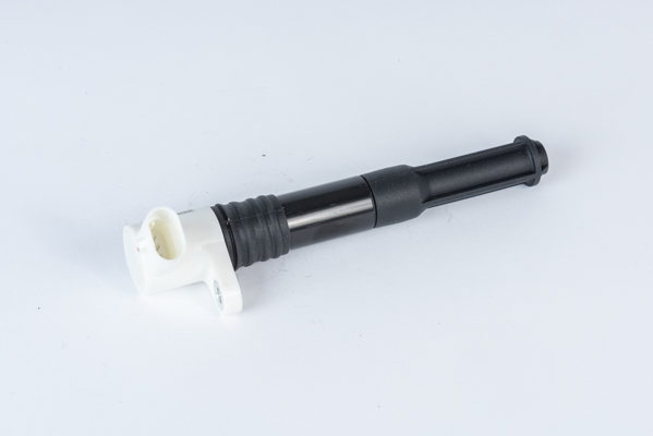 Ignition Coil - ZSE219 BorgWarner (BERU)