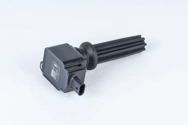 Ignition Coil - ZSE233 BorgWarner (BERU)