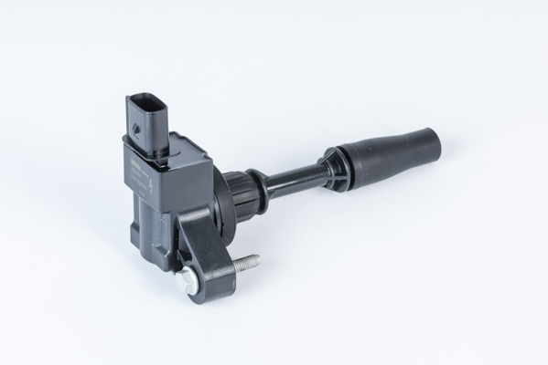 Bobina d'accensione - ZSE234 BorgWarner (BERU)