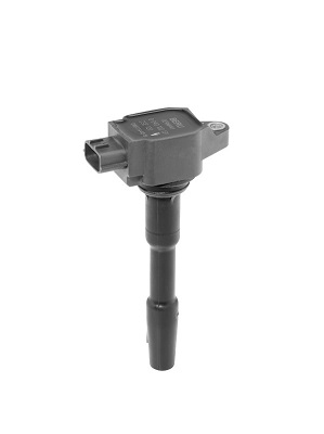 Катушка зажигания - ZSE131 BorgWarner (BERU)
