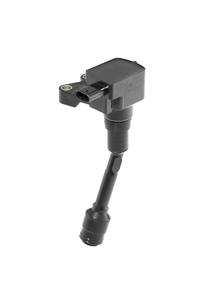 Bobina d'accensione - ZSE215 BorgWarner (BERU)
