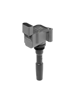 Ignition Coil - ZSE223 BorgWarner (BERU)