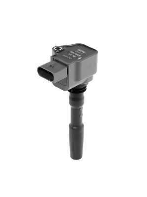 Bobina d'accensione - ZSE224 BorgWarner (BERU)
