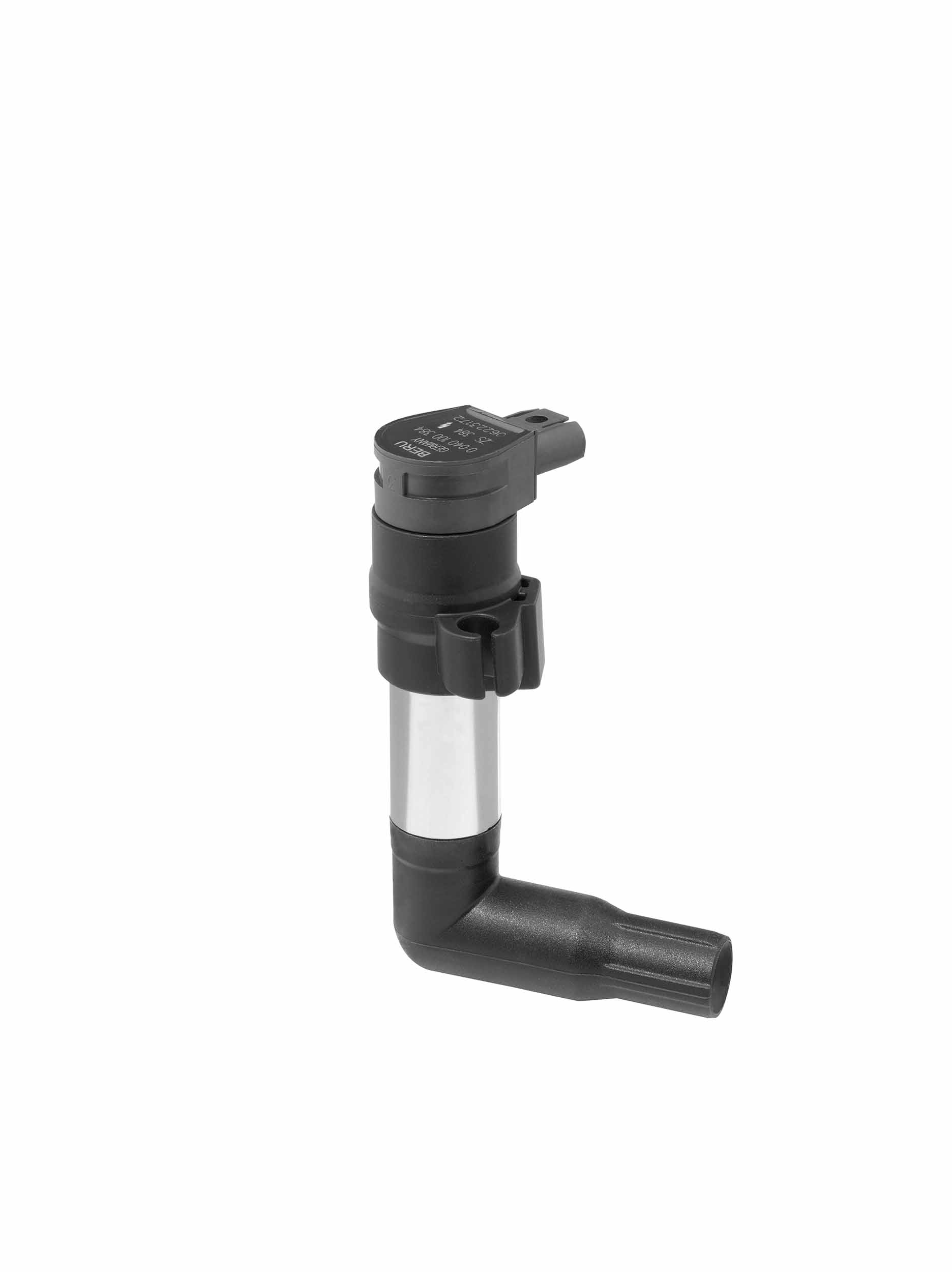 Катушка зажигания - ZS384 BorgWarner (BERU)