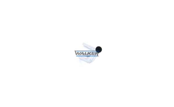 išleidimo kolektorius - 10688 WALKER