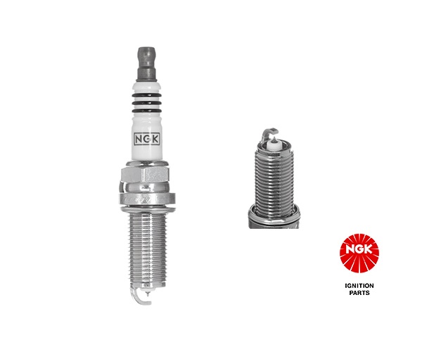 Spark Plug - 1005 NGK