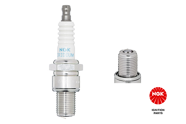 Spark Plug - 97566 NGK