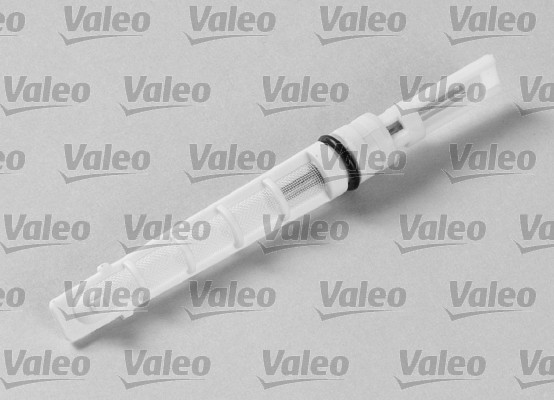 Injector Nozzle, expansion valve - 508970 VALEO