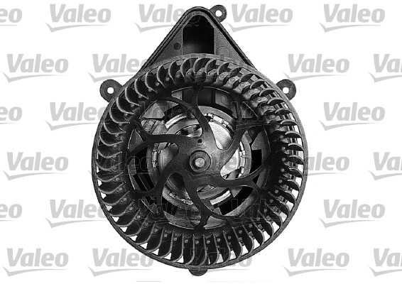 vidaus pūtiklis - 698059 VALEO