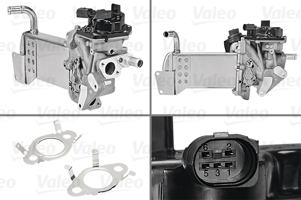 ERG modulis - 700438 VALEO