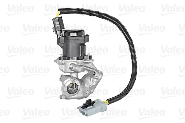 EGR Valve - 700409 VALEO