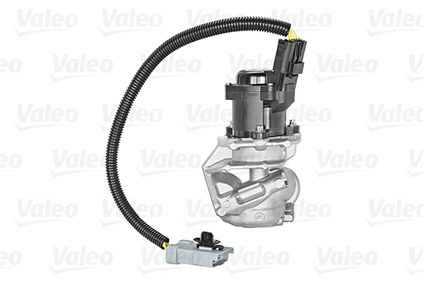 EGR Valve - 700409 VALEO