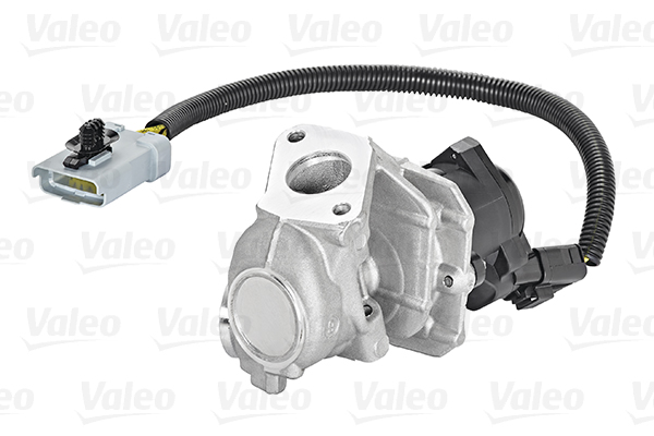 EGR Valve - 700409 VALEO