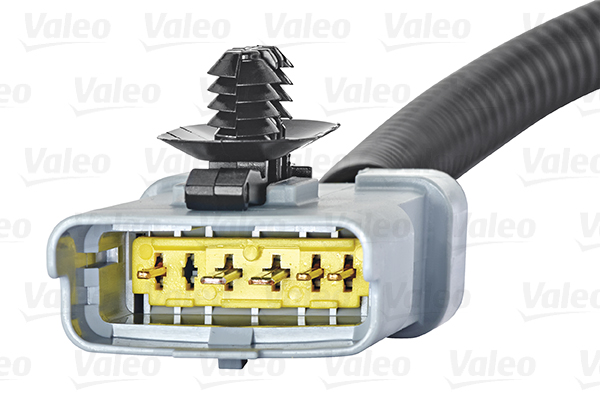 EGR Valve - 700409 VALEO