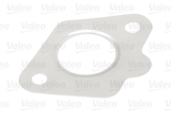 EGR Valve - 700409 VALEO