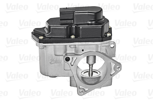 EGR Valve - 700424 VALEO