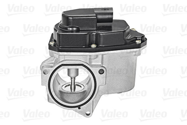 EGR Valve - 700424 VALEO