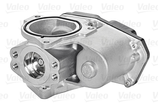 EGR Valve - 700424 VALEO
