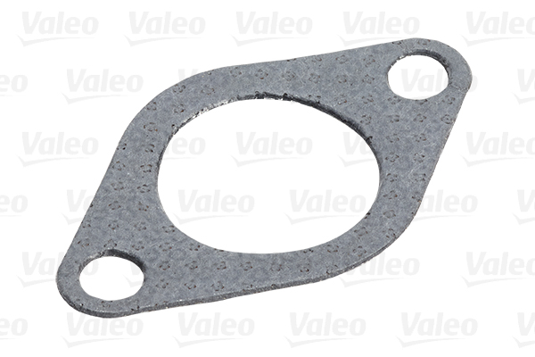 EGR Valve - 700424 VALEO