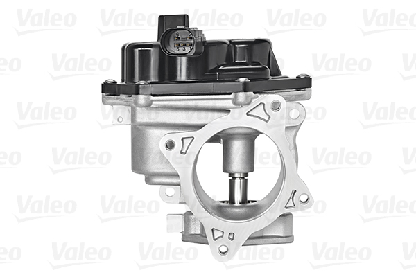 Клапан возврата ОГ - 700448 VALEO