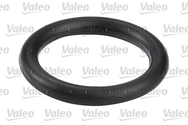 Fuel filter - 587557 VALEO